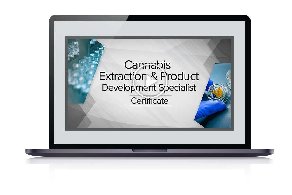 Extraction webinar on laptop